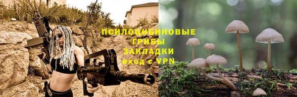 PSILOCYBIN Верхнеуральск
