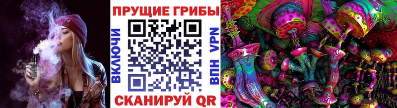 Псилоцибиновые грибы мухоморы  закладка  Заинск 