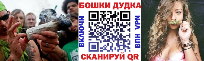МЕГА ONION  Заинск  Каннабис Amnesia 
